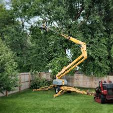 Best Lawn Disease Treatment  in Mendota, CA